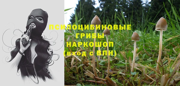 соль ск Магадан